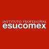 Instituto Profesional Esucomex