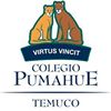 Colegio Pumahue