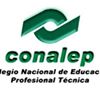 CONALEP - Colegio Nacional de Educación Profesional Técnica - Lic. Raúl Rangel Frías
