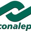 CONALEP - Colegio Nacional de Educación Profesional Técnica - Cozumel