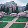 UW - University of Washington