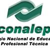 CONALEP - Colegio Nacional de Educación Profesional Técnica 155 - Salina Cruz