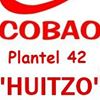 COBAO 42 - Huitzo